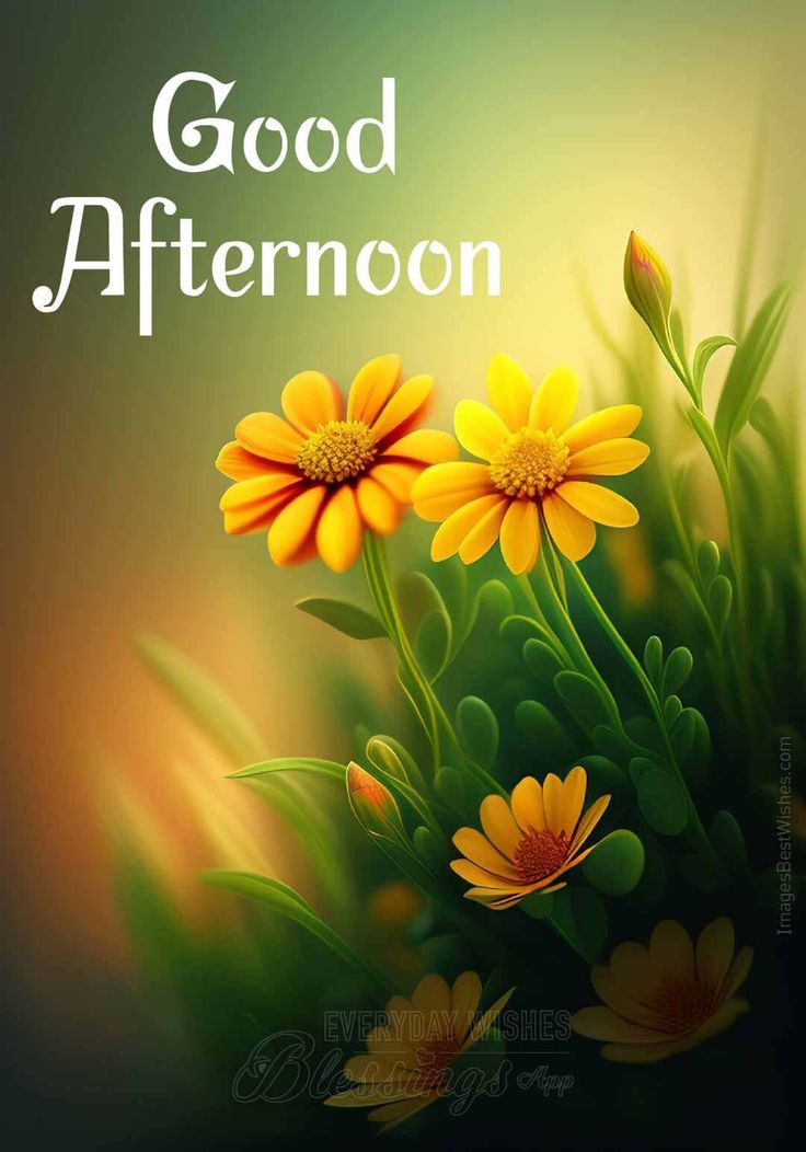 M.V.S.Rao(Dinesh) tweet media