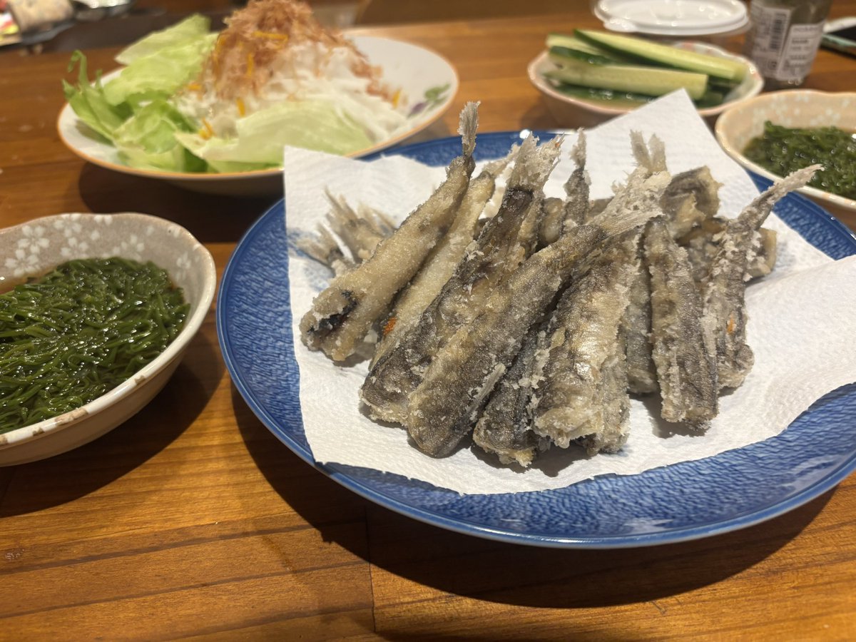 commandgundam's tweet image. メヒカリ
何パック揚げても残らない
子供の餌食👶