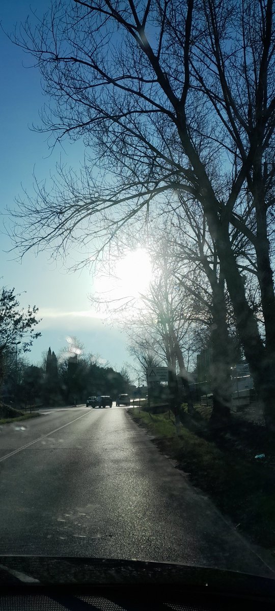 Raffy55116 (@ortensia5591) on Twitter photo 