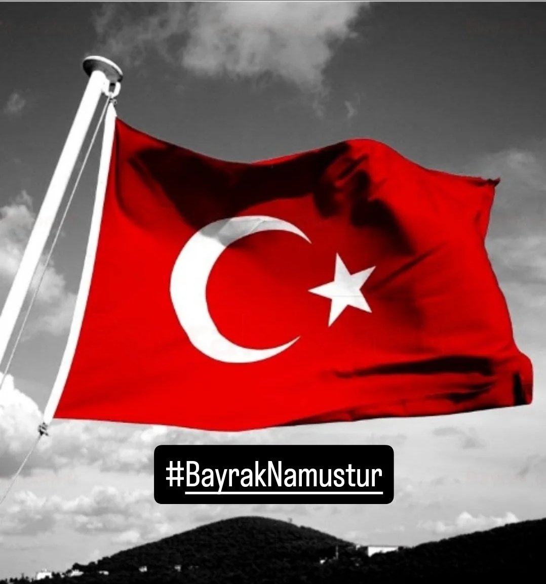 TC_ZeynepÇapulcu#MKA (@tczeynepcapulcu) on Twitter photo 