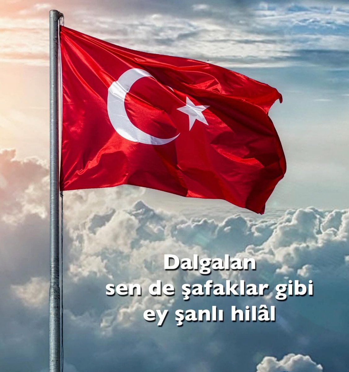 𝓣𝓪𝔂𝓯𝓾𝓷 (@tayfungoler) on Twitter photo 