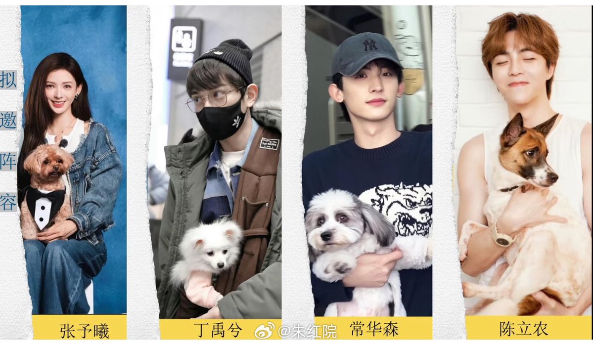 Allcbizmelons's tweet image. 🍉MGTV’s Variety Show “Pets Companion”

Guests: #ZhaoLusi, #ChenZheyuan, #LiJiaqi, #MengZiyi, #DingYuxi, #ChangHuasen, #ZhangYuxi, #ChenLinong, etc. (tentatively invited)

Synopsis: Pet owners from the entertainment industry are preparing to do something big! They're opening a…