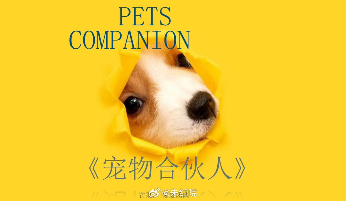 Allcbizmelons's tweet image. 🍉MGTV’s Variety Show “Pets Companion”

Guests: #ZhaoLusi, #ChenZheyuan, #LiJiaqi, #MengZiyi, #DingYuxi, #ChangHuasen, #ZhangYuxi, #ChenLinong, etc. (tentatively invited)

Synopsis: Pet owners from the entertainment industry are preparing to do something big! They're opening a…