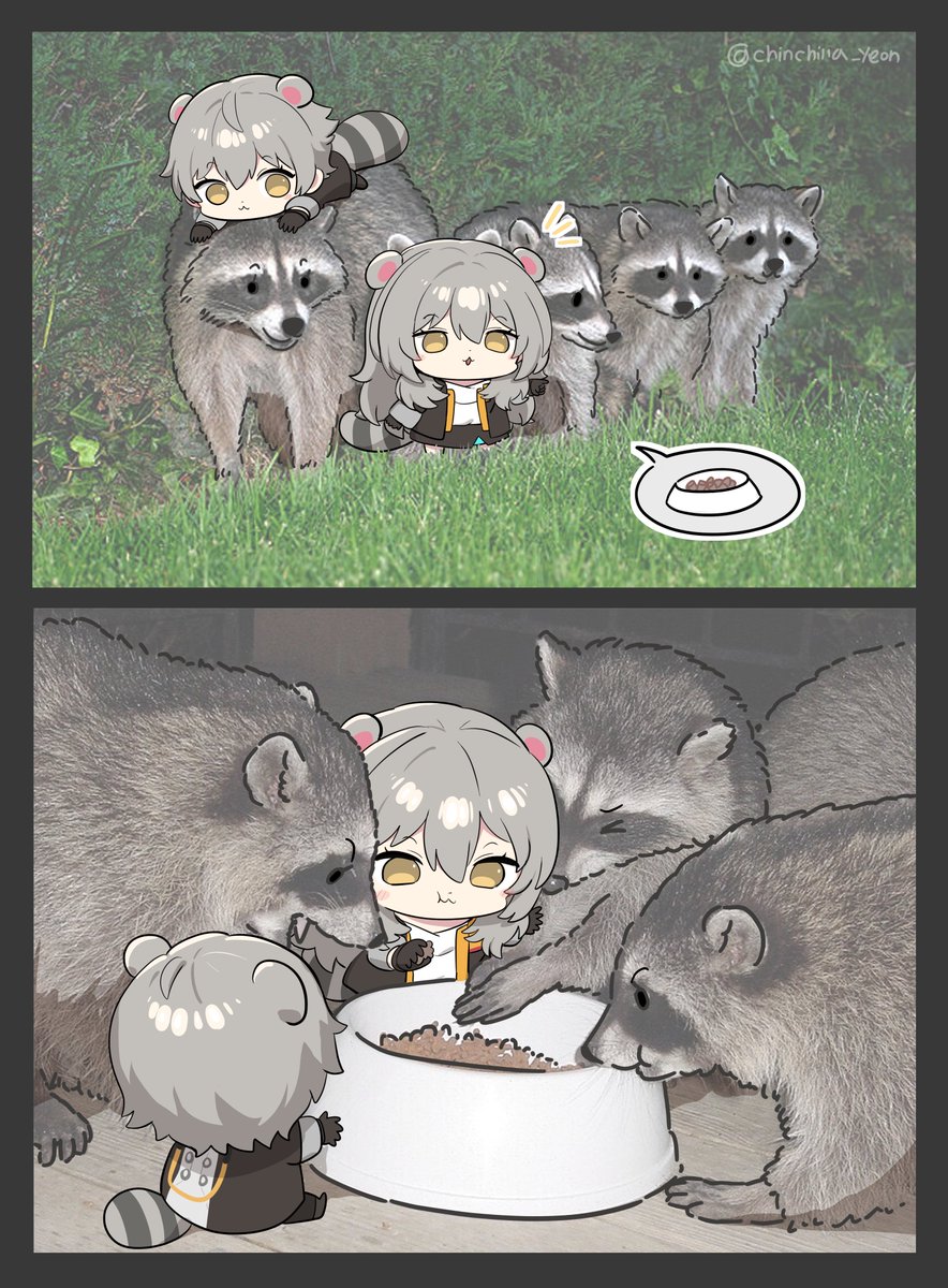 아기 라쿤 척자!