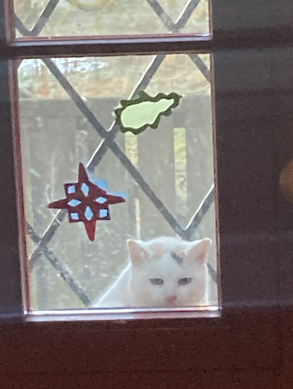 Ellen Kositza tweet media