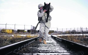 Perros muy especiales. 
Tal vez habrá quien se lo piense antes de llamar despectivamente: "PERRO CHUCHO
facebook.com/share/r/16jdCg…