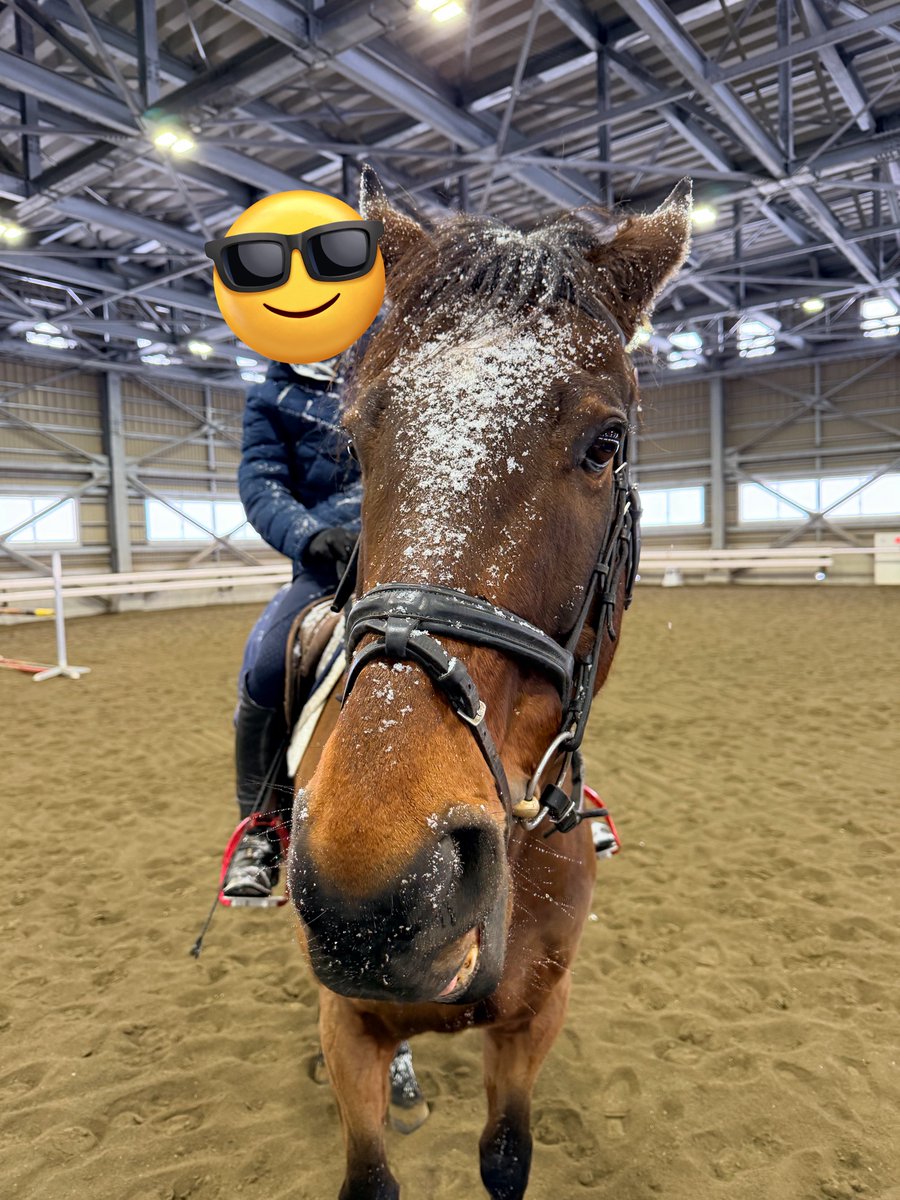 BTC研修】軽種馬育成調教センター (@BTC_urakawa) / Posts / X