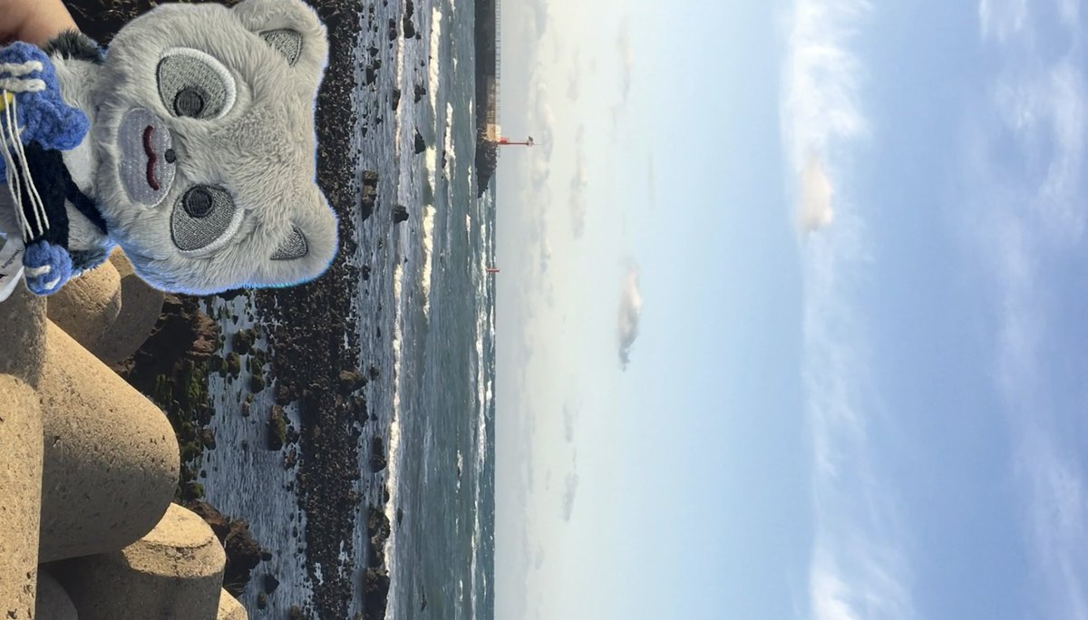 원상이가 보고픈 밤이야…🥺