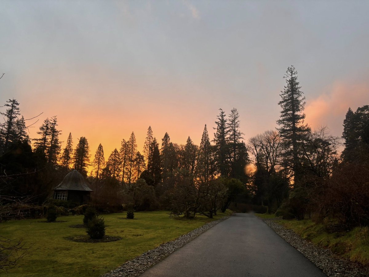 Experience Outdoors tweet media