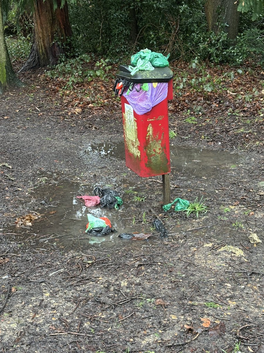 Dave Wheatley tweet media