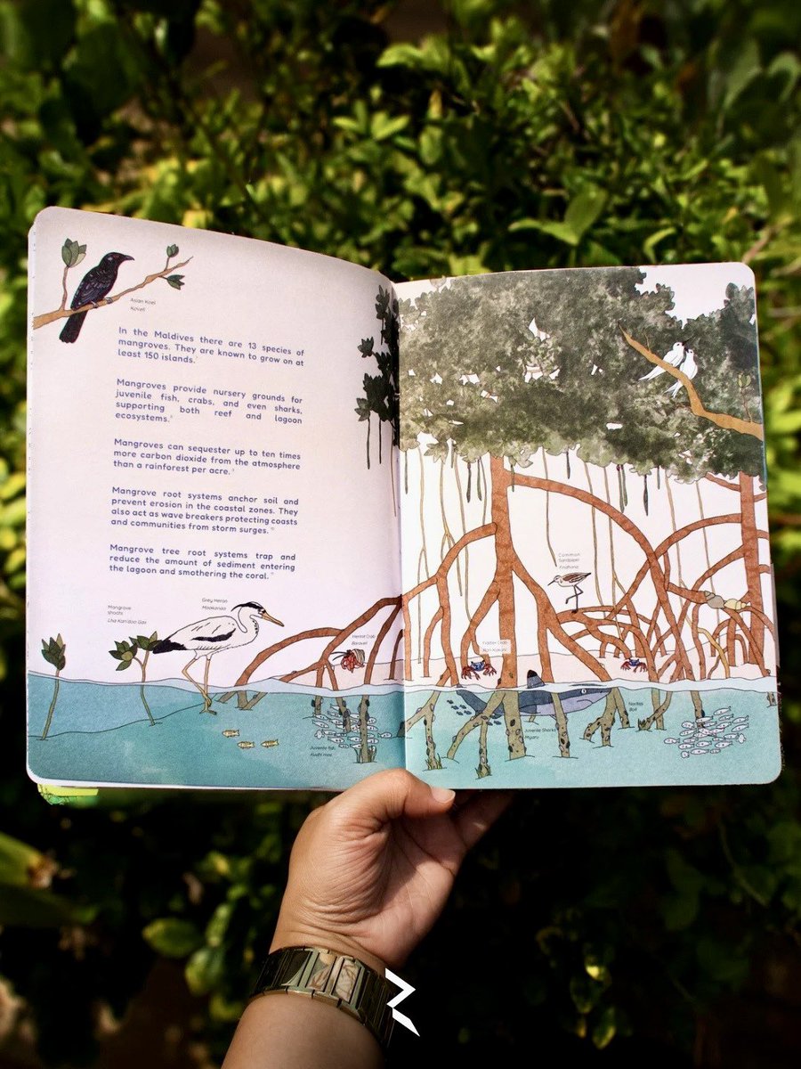 From mangroves to reefs, city gardens to beaches, every living thing has a role. This planner celebrates our shared biodiversity, the plants, animals, and ecosystems that sustain us. May these pages inspire care, wonder, and small daily acts of protection. 

Designed by: Ema.ziya