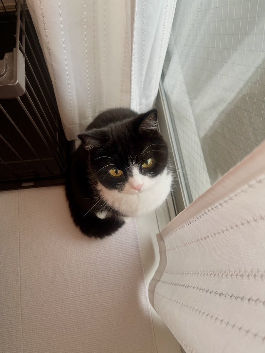 たろう (@taro20216) / Posts / X