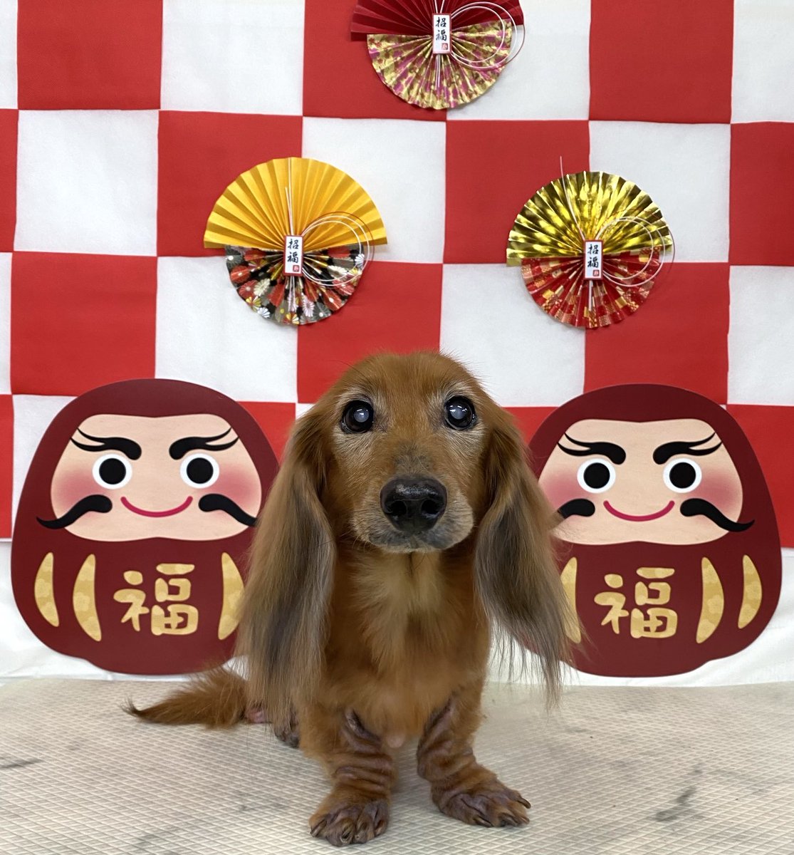 wanwaneda's tweet photo. ぎんじくん🎍 https://t.co/23Xy0D2nVT