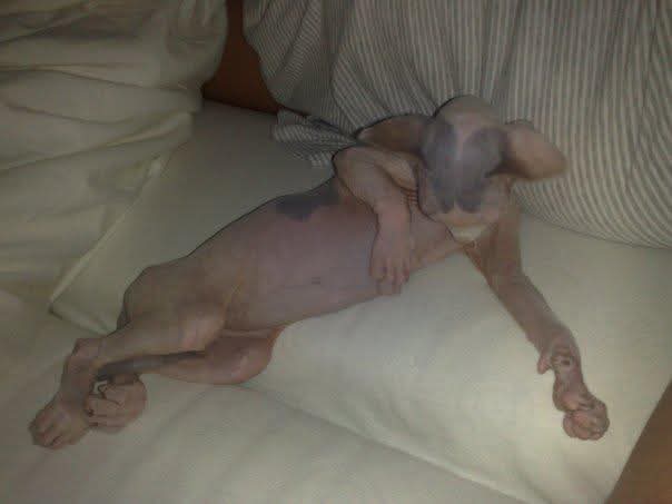 Eduard Einstein 2011 💫💔