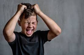 Yann Le Strat tweet media