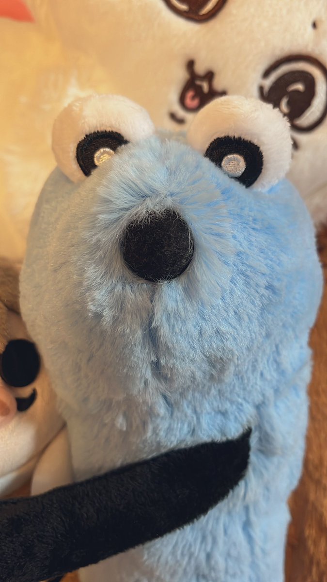 かわいい。あまりにも。