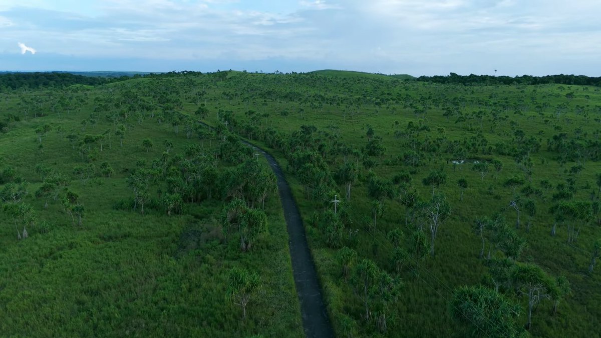 IndiaAesthetica's tweet image. Teressa Island famous for lush, green landscapes and meadows , Andaman and Nicobar 🟢🔵🌳🇮🇳