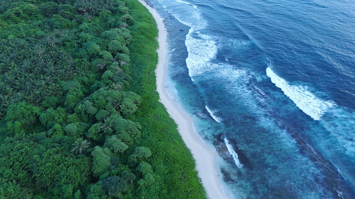 IndiaAesthetica's tweet image. Teressa Island famous for lush, green landscapes and meadows , Andaman and Nicobar 🟢🔵🌳🇮🇳