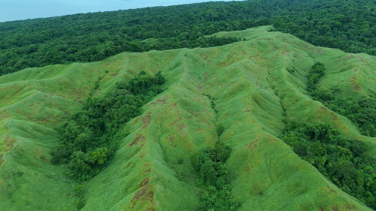 IndiaAesthetica's tweet image. Teressa Island famous for lush, green landscapes and meadows , Andaman and Nicobar 🟢🔵🌳🇮🇳