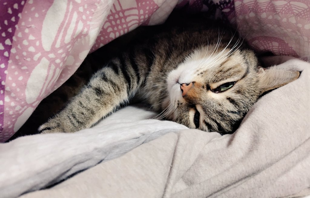 世の中はさむさむですがおふトンネルに入ればこの通り