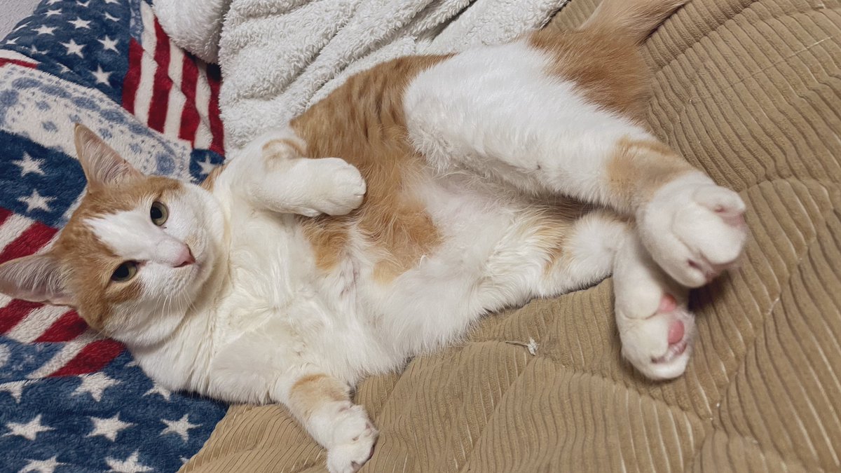 雲丹次郎 tweet media