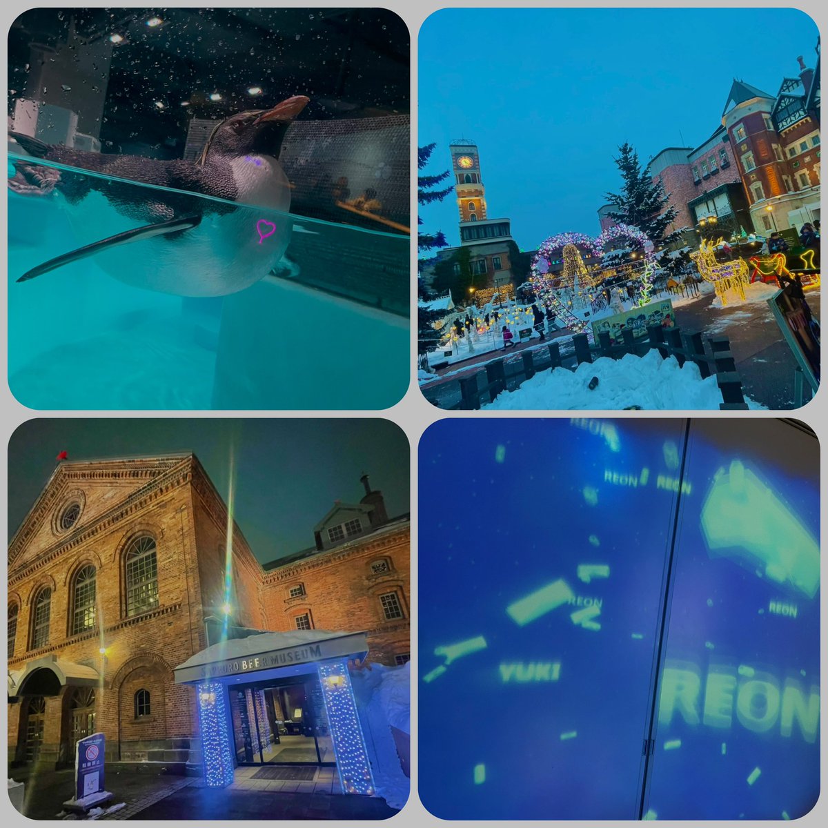 雷音レイ_17LIVE tweet media