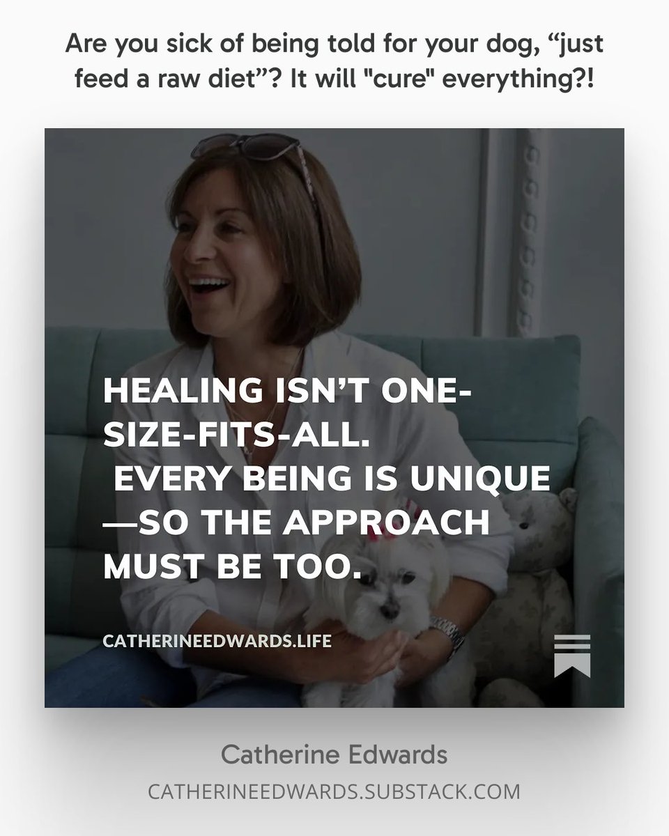 Catherinelife17's tweet image. Latest substack article: open.substack.com/pub/catherinee…

#naturalhealth #doghealth