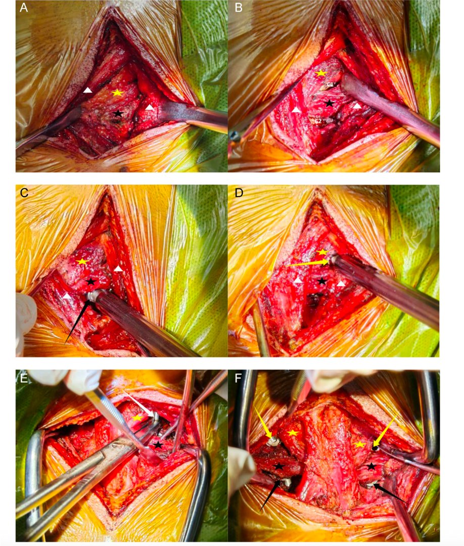 TheSpineJEditor tweet media