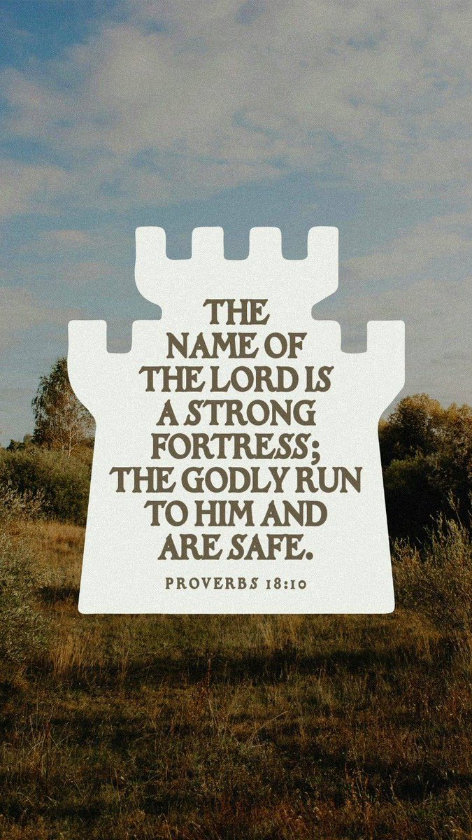 RayTheDream's tweet image. bible.com/verse-of-the-d…