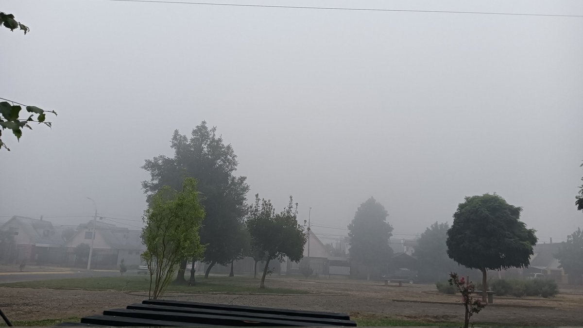 Chillán hoy, olor a humo en Ñuble.