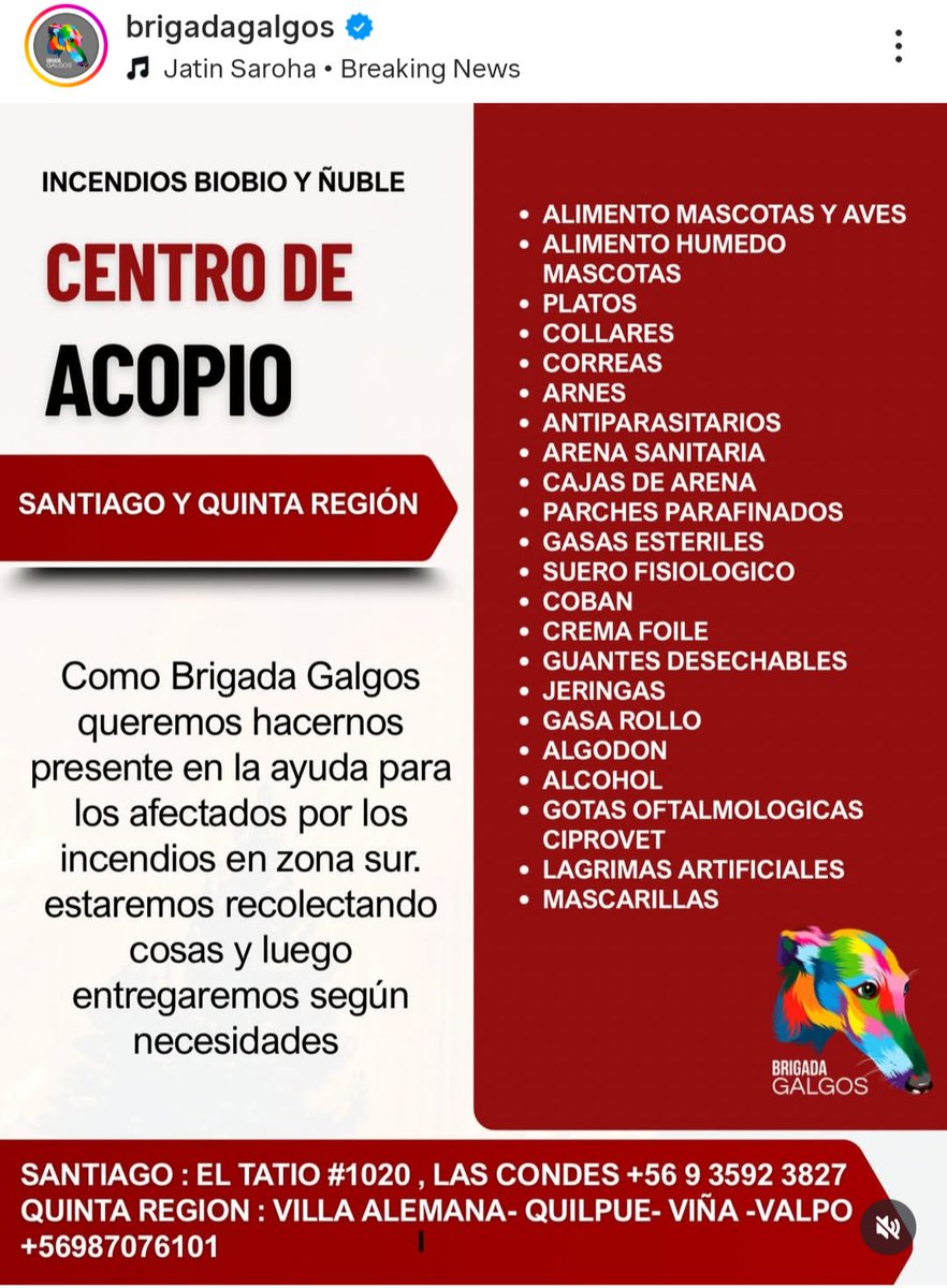 TurquoiseSpace's tweet image. 📣 Sitios y cuentas a los que pueden donar ya sea de forma monetaria o con artículos de aseo para ayudar a los damnificados por los incendios en Ñuble y Biobio incluídas las mascotas y fauna silvestre