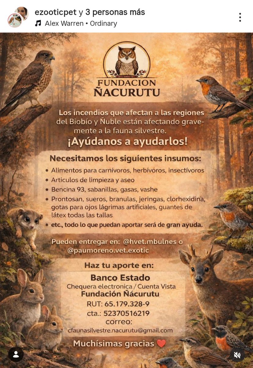 TurquoiseSpace's tweet image. 📣 Sitios y cuentas a los que pueden donar ya sea de forma monetaria o con artículos de aseo para ayudar a los damnificados por los incendios en Ñuble y Biobio incluídas las mascotas y fauna silvestre