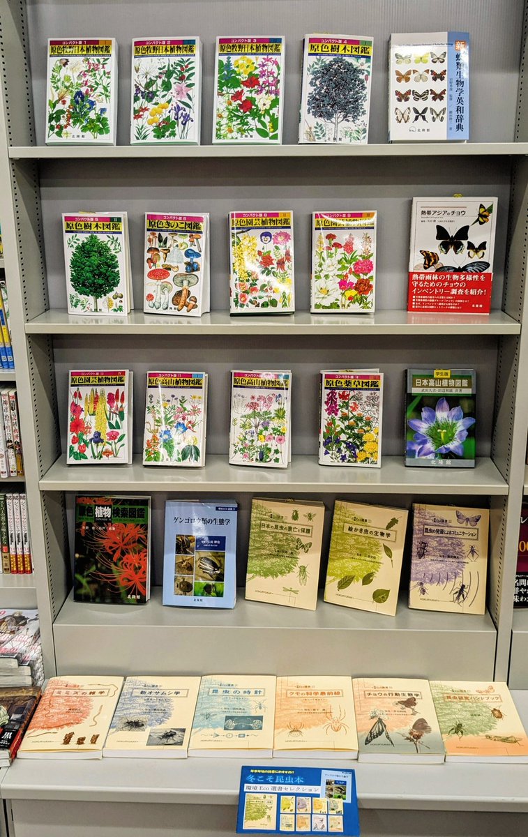 北隆館｜営業部 『牧野植物図鑑』100周年！！フェア開催中