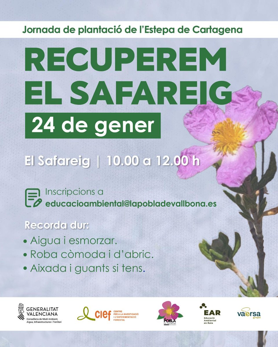 GVA CEACV tweet media