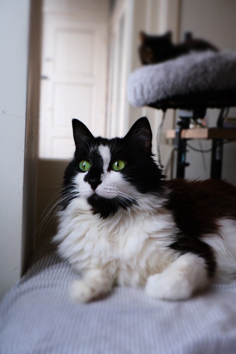 Evgenii Shkodin tweet media