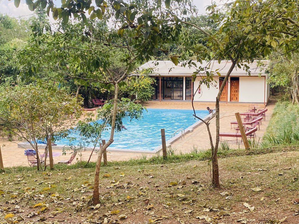 phiona_nam53267's tweet photo. Discover a rare forest retreat in Karuma: @IgwaraLodge 

From immersive nature walks and farm experiences to a refreshing dip in our pool, we provide the ultimate connection to nature

Perfect for adventurers, romantics, and solo seekers alike.
Escape the ordinary today.

📍 Kiryandongo District
🌐 https://t.co/7DszTMwbmy
