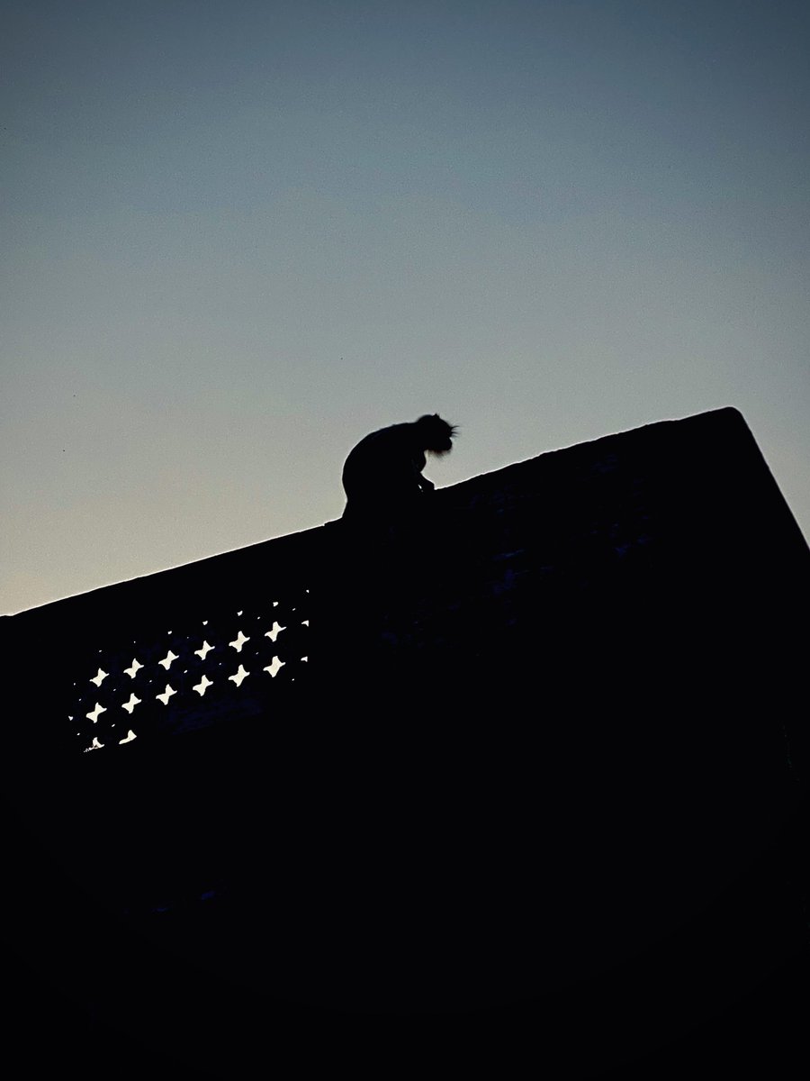 mansebanjaran's tweet image. fragments of life