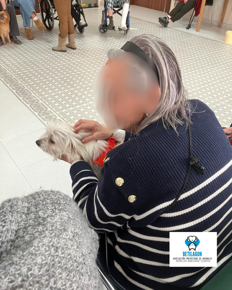 betilagun's tweet photo. El miércoles estuvimos en Cáser. Nos acompañaron Almudena y Maika. Los residentes se lo pasaron muy bien, hasta les enseñamos una palabra en inglés todo gracias al nombre de una de nuestras ayudantes perruna, ¡Moony!
@VitalFundazioa
#betilagun #protectoradeanimales https://t.co/0CG9DYp2yz