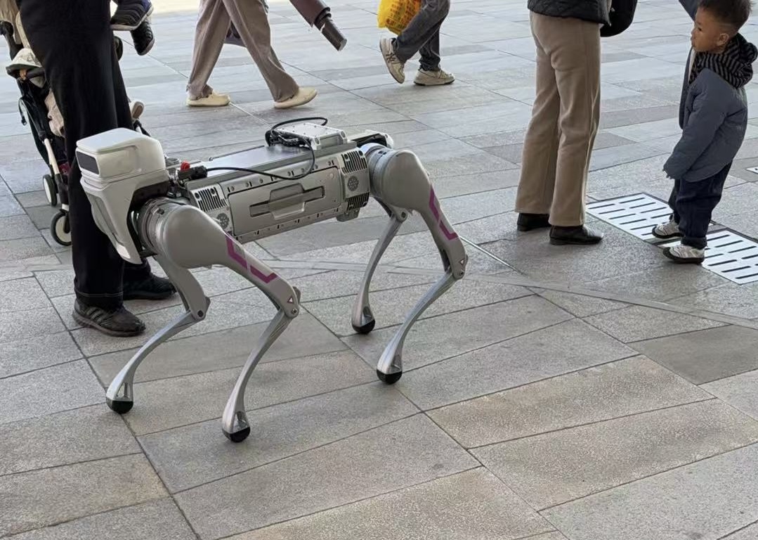 hihiwang tweet media