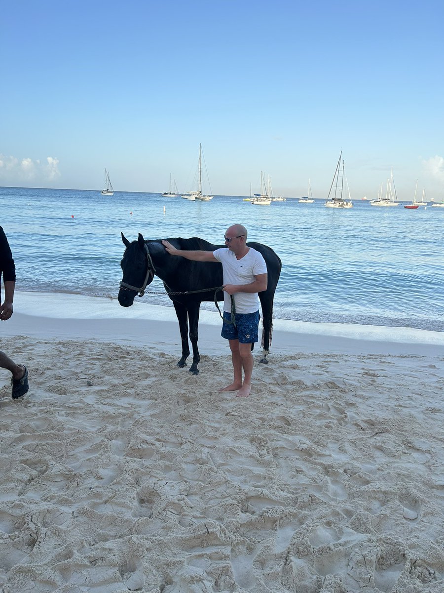 Ashley Coates tweet media