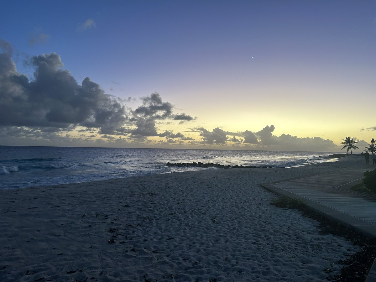 Ashley Coates tweet media