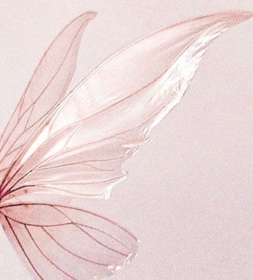 she was magical ˚‧⁺.*