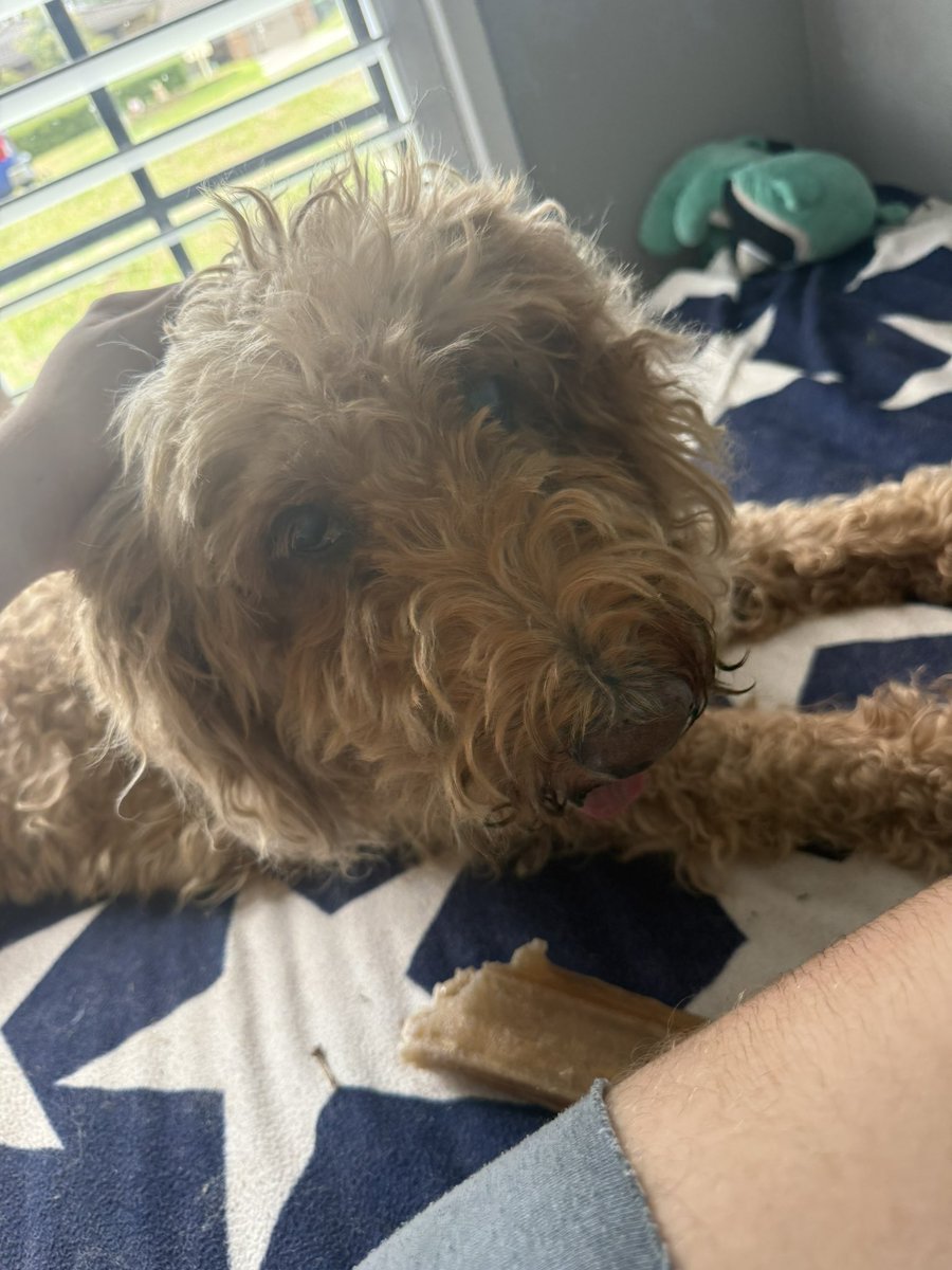 TripleDot tweet media