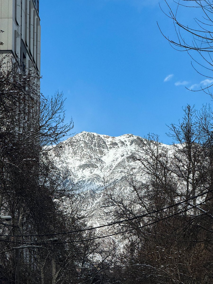 ساسان tweet media