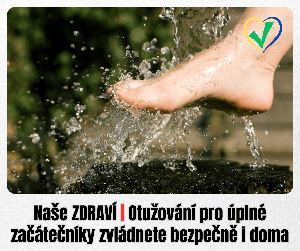 fajnblog's tweet photo. Chcete imunitu jako skála? 💪 Začněte s otužováním ve sprše! Nemusíte hned do ledové řeky. Návod pro úplné začátečníky, jak na to a nezmrznout. 🚿 Vyplavte hormony štěstí! ❄️ #fajn.blog #inspirace #otuzovani #zdravi 🥶 Odkaz: https://t.co/Rt8FcXT0Ag
https://t.co/EroFCQGCy1 https://t.co/s1bMDkKa3e