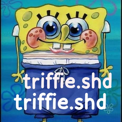 triffie.shd tweet media
