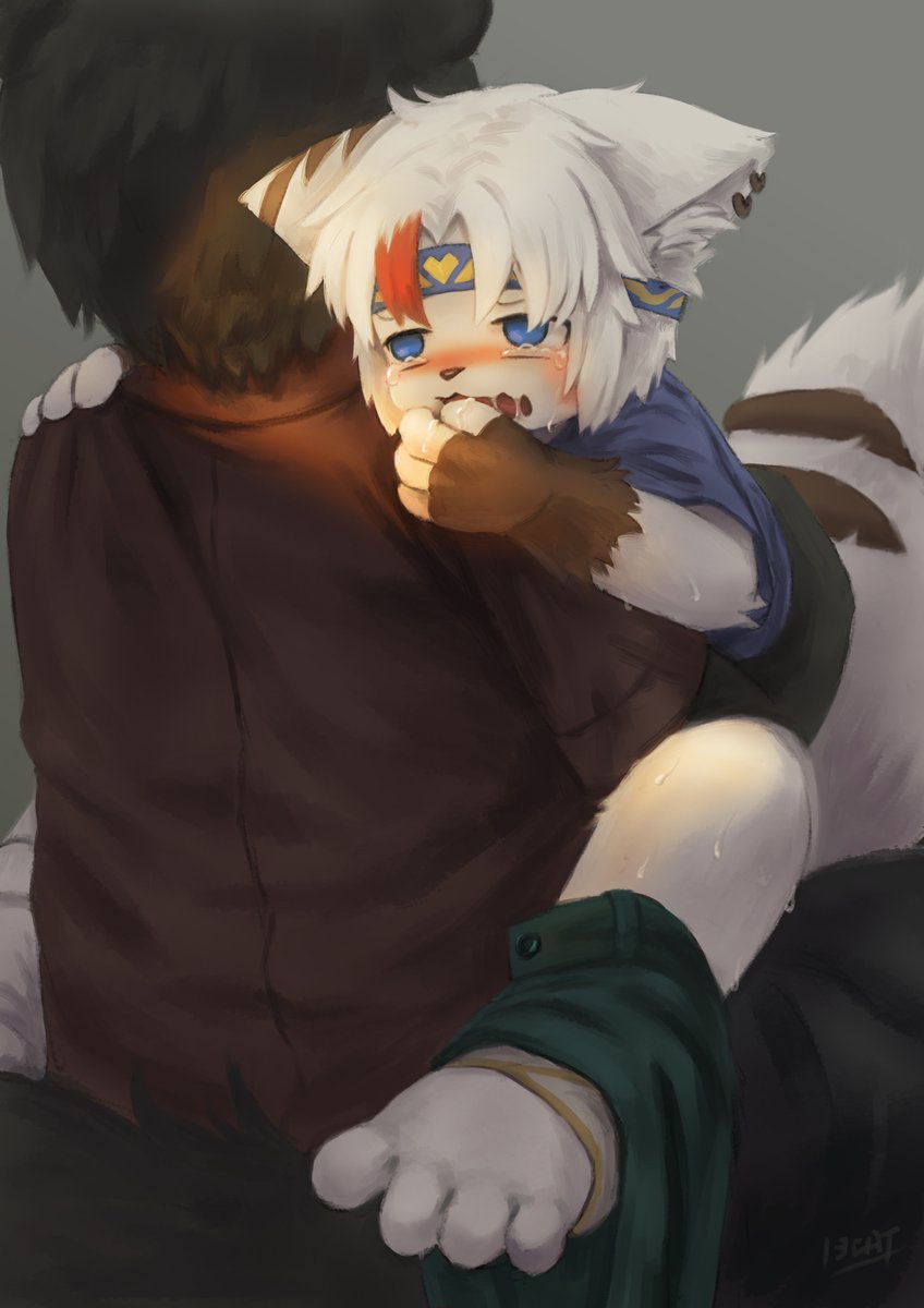 貓拾弎 tweet media