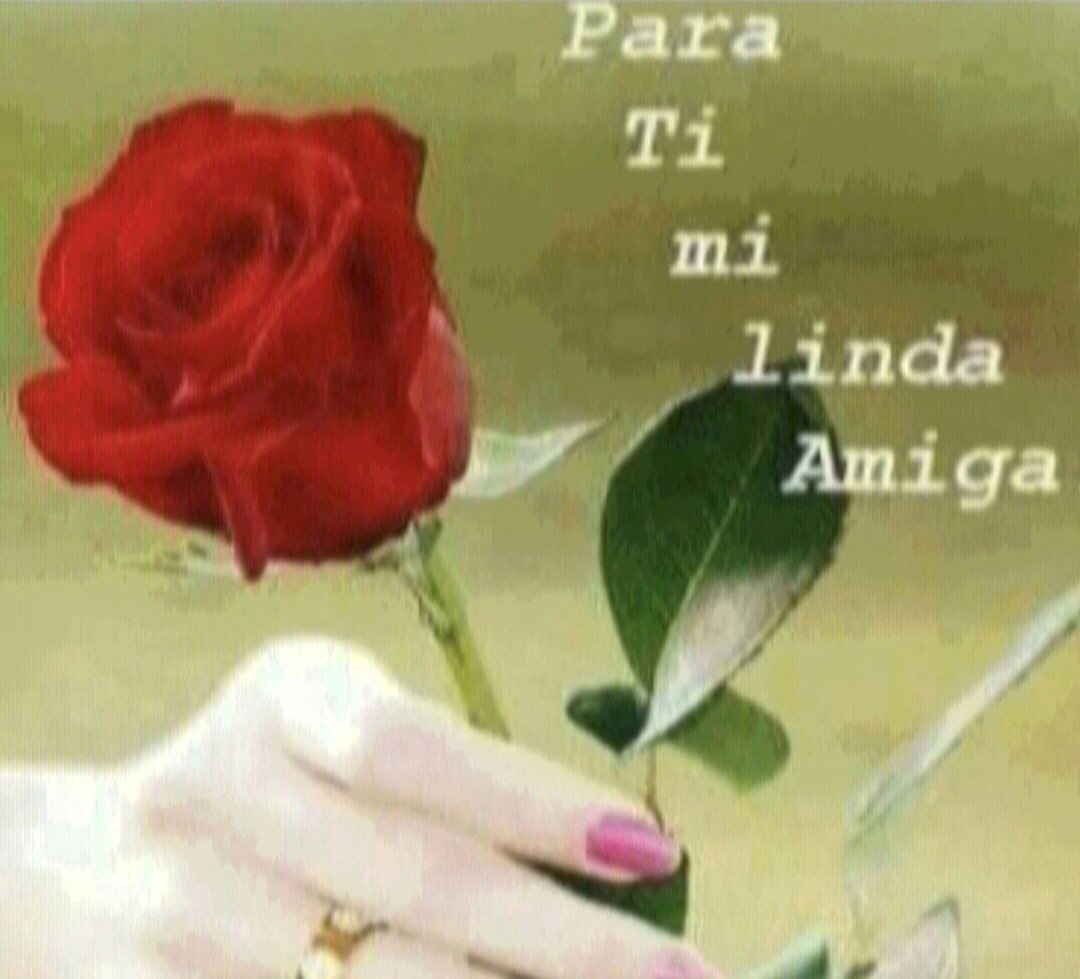 Pablo Priego Jimenez tweet media