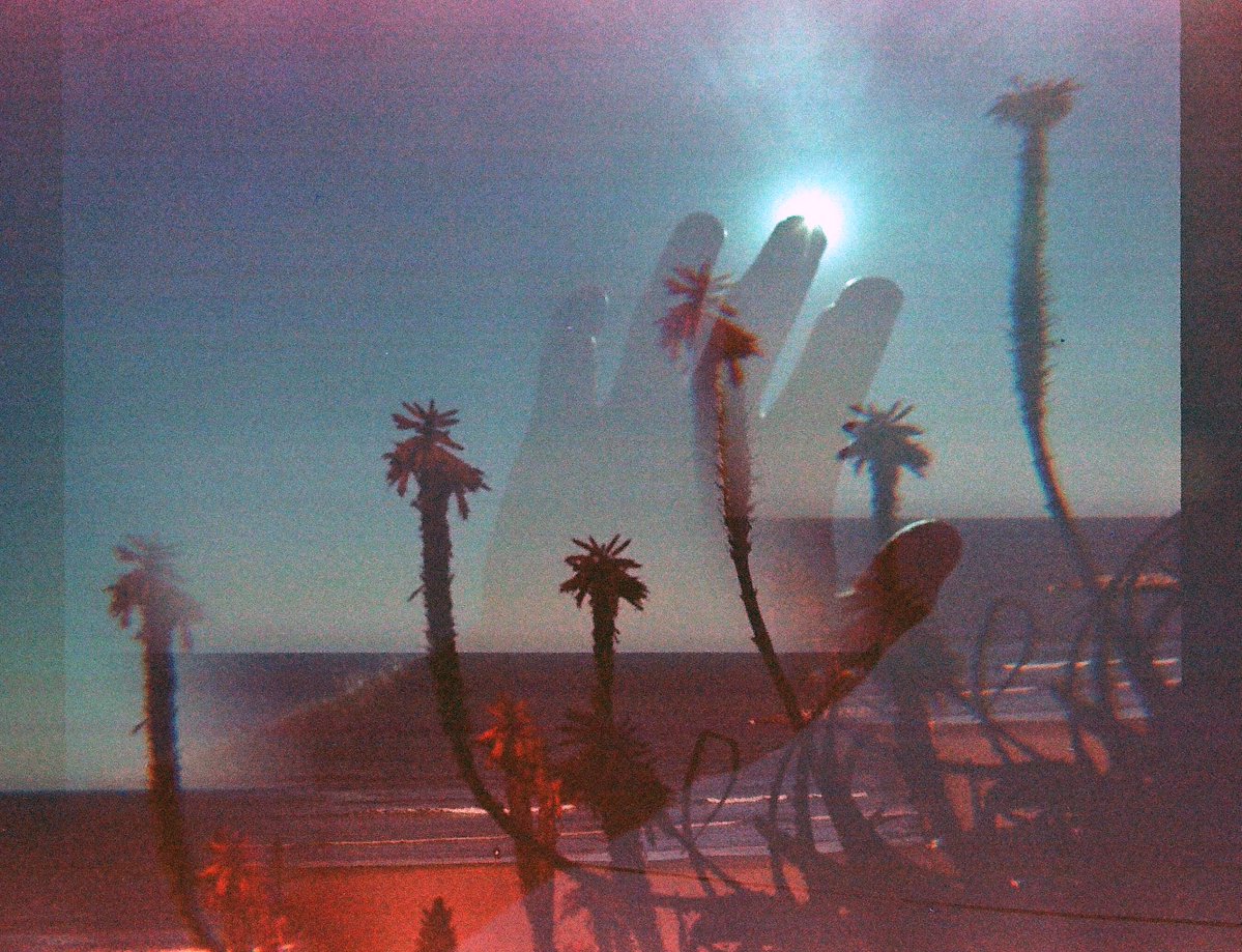 Gabriel Nebular tweet media