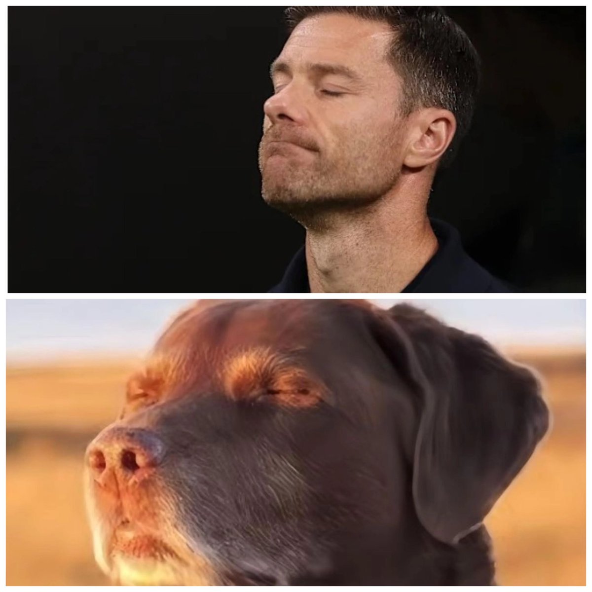 Álvaro Arbeloa tweet media